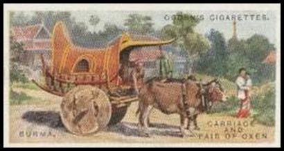 7 Burma Carriage and Pair of Oxen